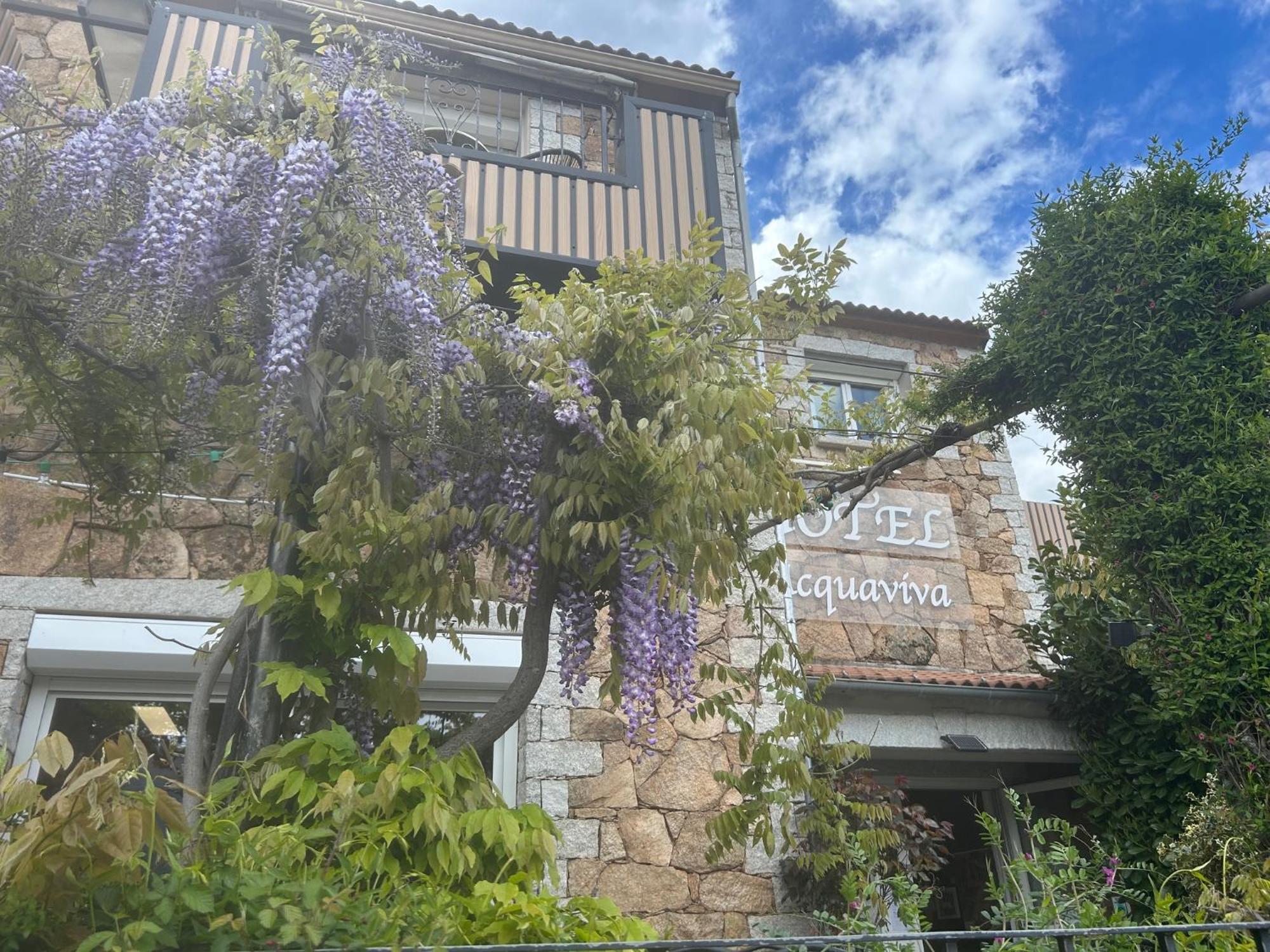 L'Acqua Viva Hotel Calacuccia Ngoại thất bức ảnh